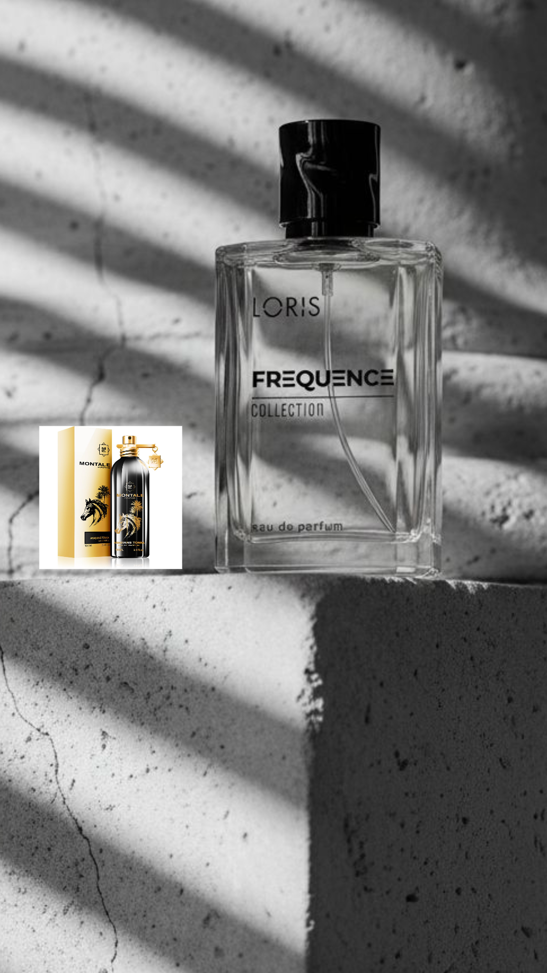 LORIS 330 unisex kvepalai – įkvėpti Montale Arabians Tonka